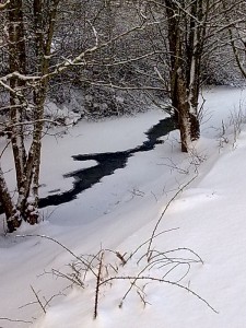 Silverbäcken 