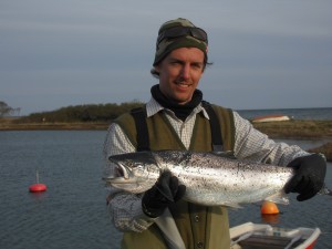 Fredrik Arnerby Havsöring