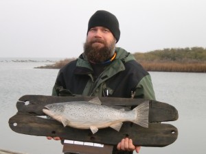 Alexander Marelius vinnare HÖT 2015